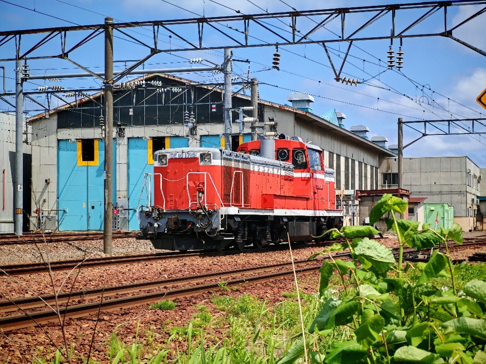 2.5倍望遠(68mm)