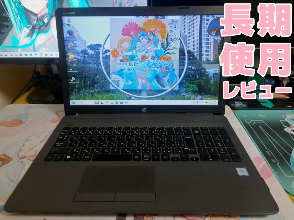 本体(さむねいる)