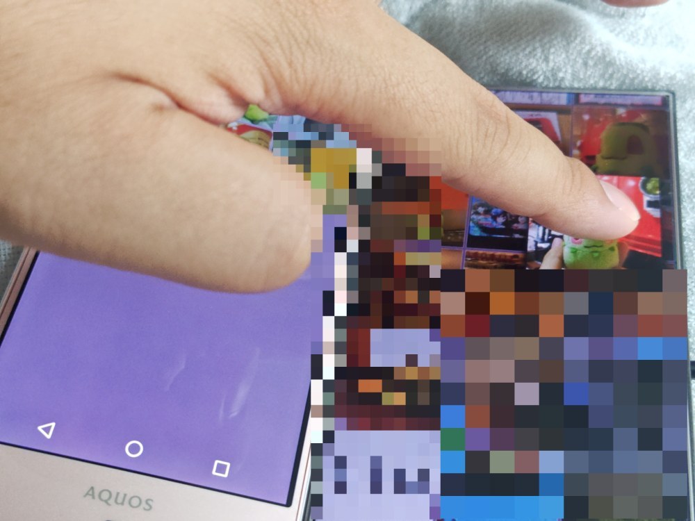 お見せ出来ない画像はモザイク処理でご容赦を…！
