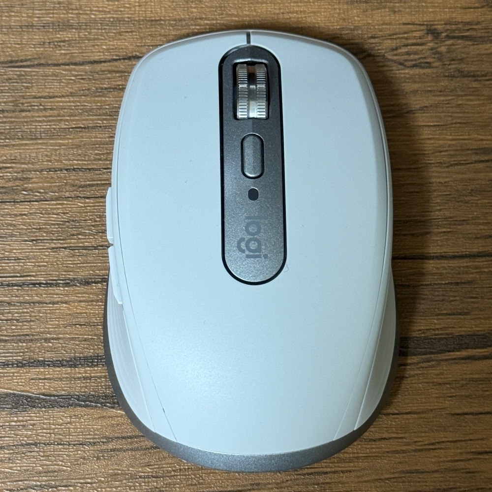 本体