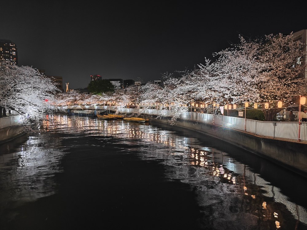 橋の歩道でふと立ち止まってほぼ設定いじらず撮った写真１インチの真価はこういう時にこそ発揮される