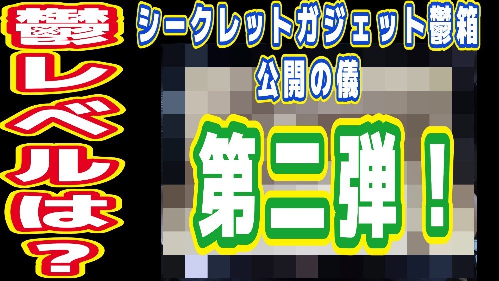 第一弾と同じくうちにあったペラペラ段ボールでイメージ。