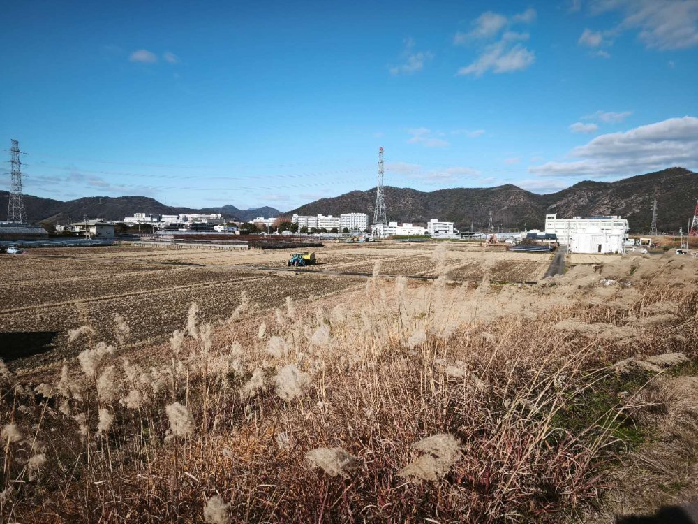 近くからの写真,イオンまで行って帰ってきたときに撮影。最寄りのイオンまで歩いて30分くらい。イオンもそんなに大きくない。