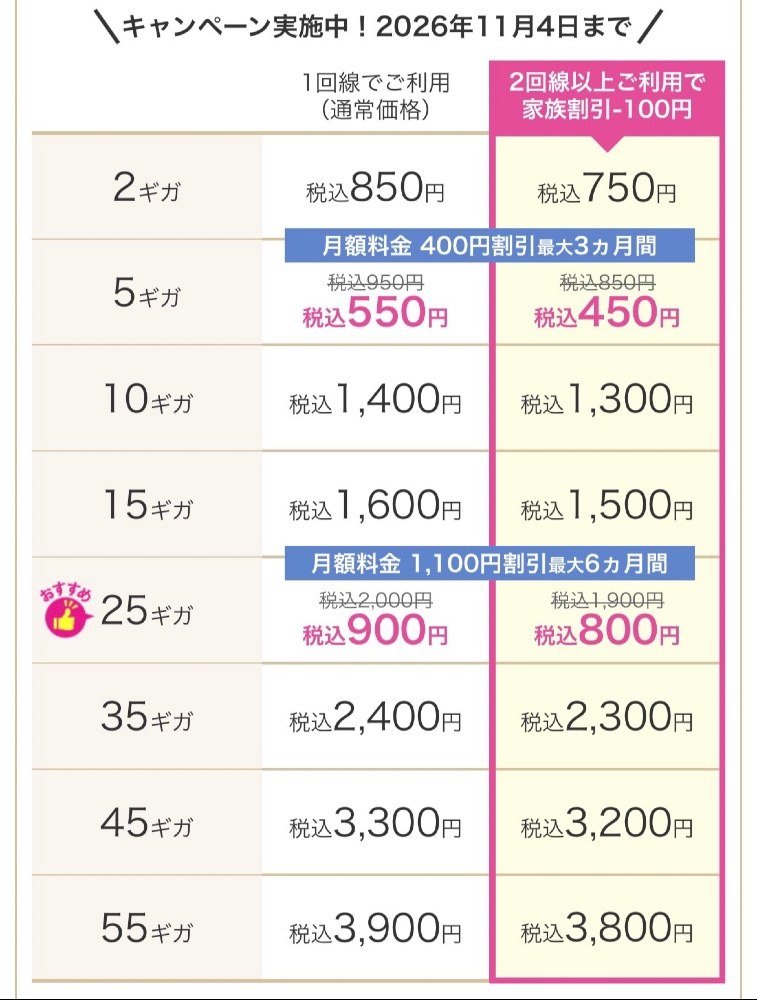 セール中のプラン表