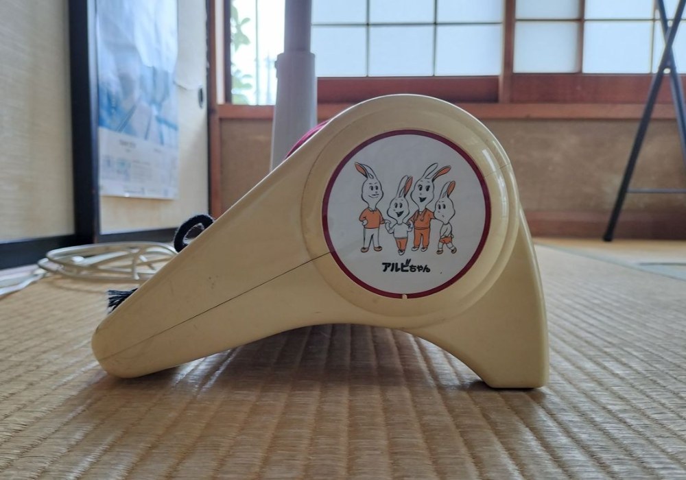 横。アルビちゃん。