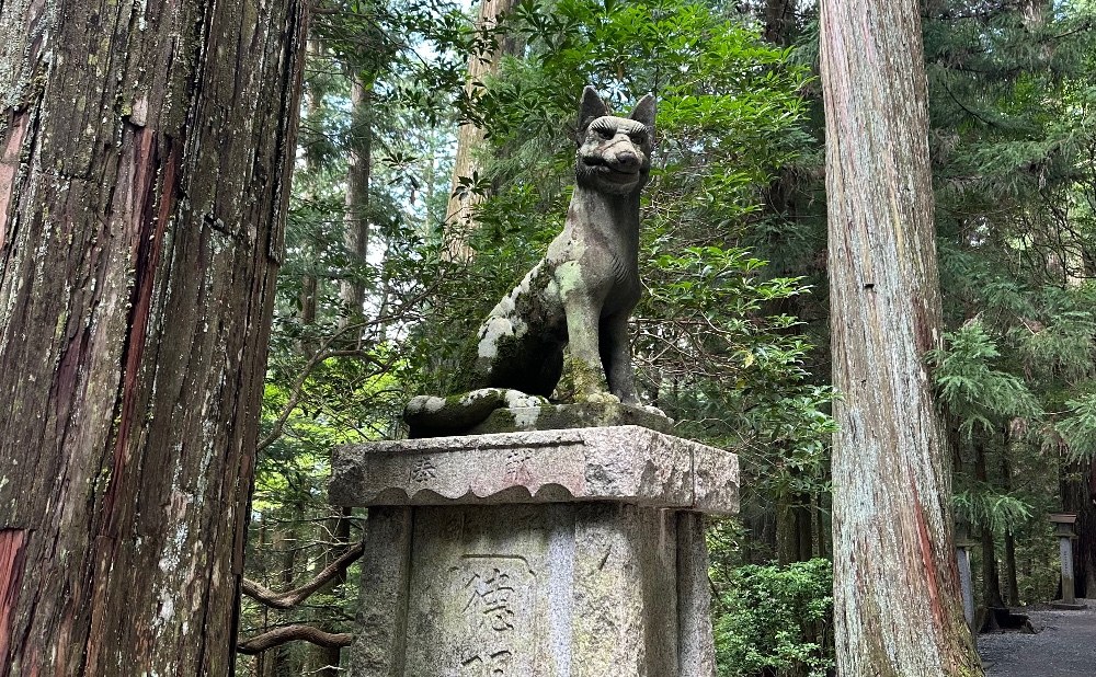 これはオオカミっぽい