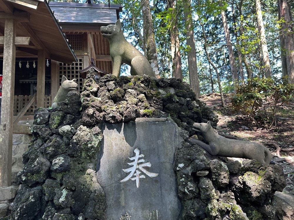 3匹いる