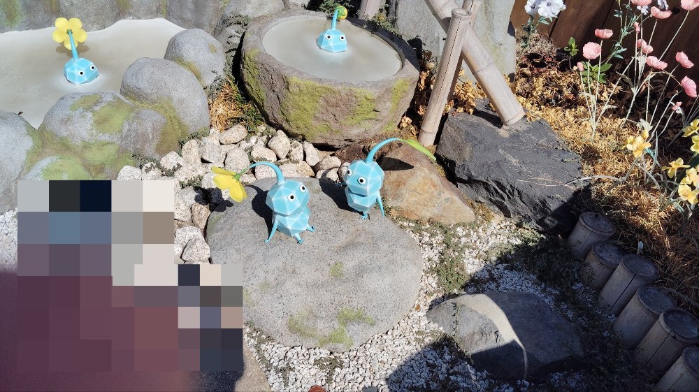 一応影が映ってたのでモザイクing