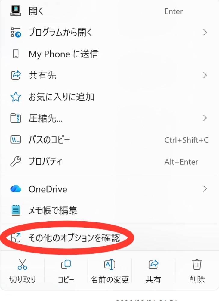 その他のオプションのやつ