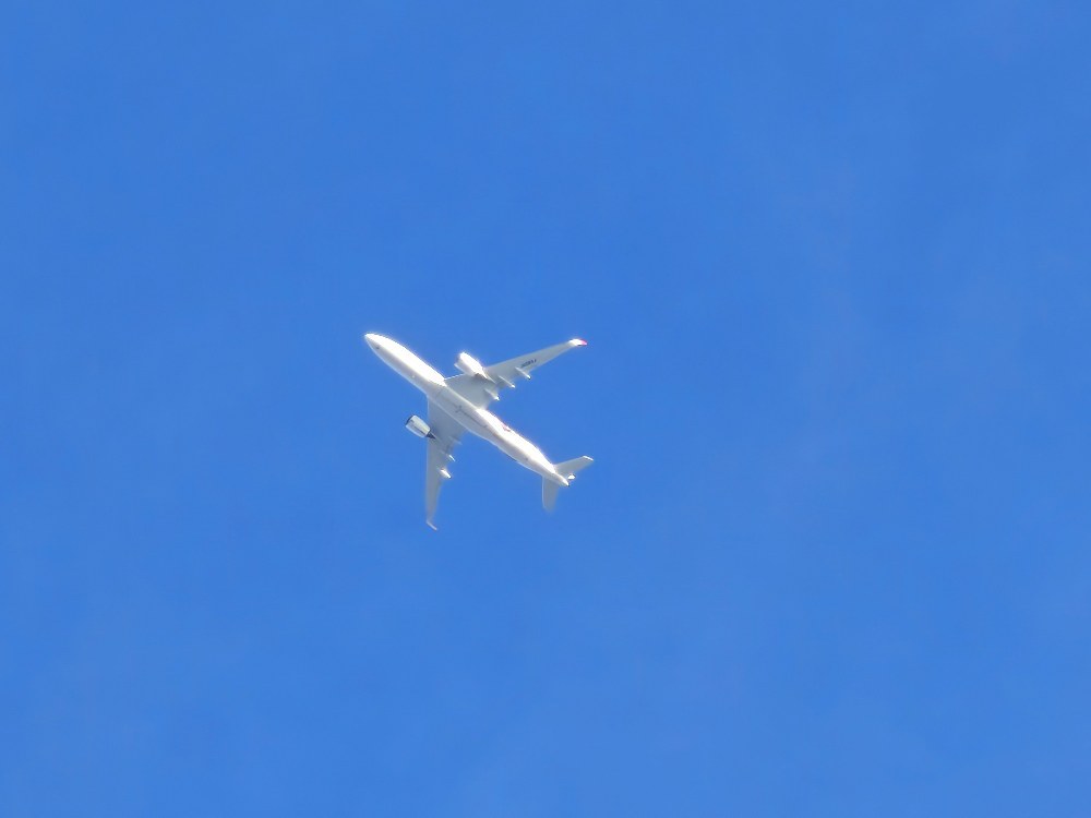 中山競馬場から飛行機を撮ってみた。