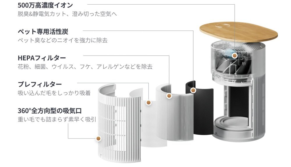 公式画像転用