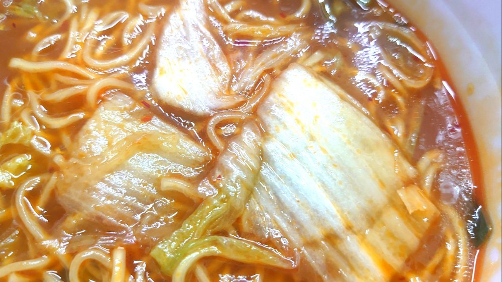 マジで良い感じに復活した白菜