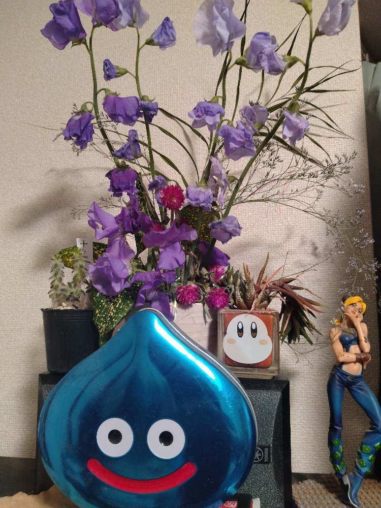 5代目