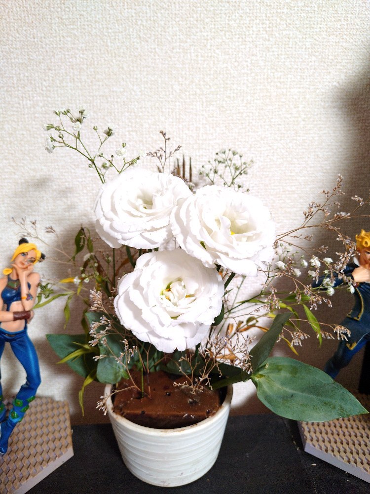 7代目