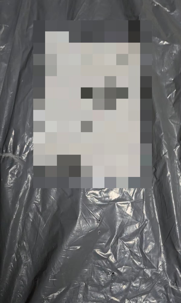 当時届いたときの写真