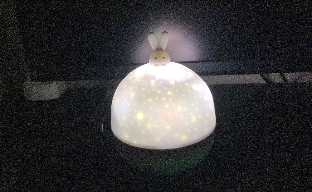 ドームが星になるのはカワイイ