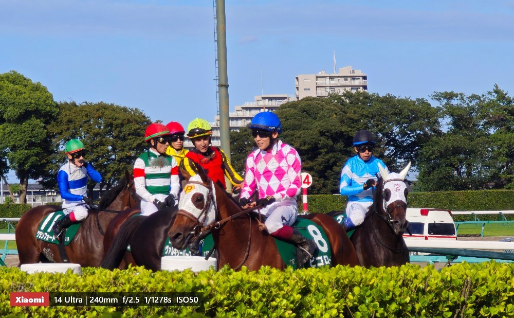 ピコローズと三浦皇成騎手