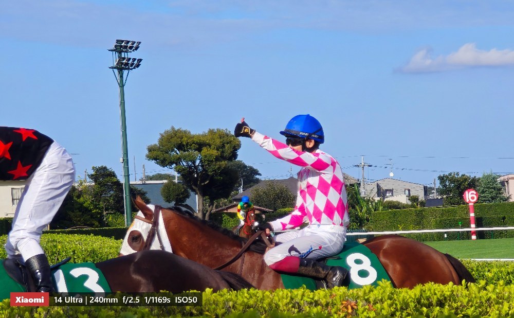 ピコローズと三浦皇成騎手