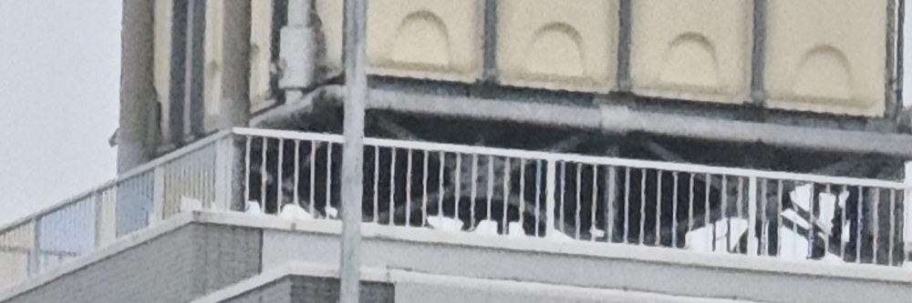 等倍表示