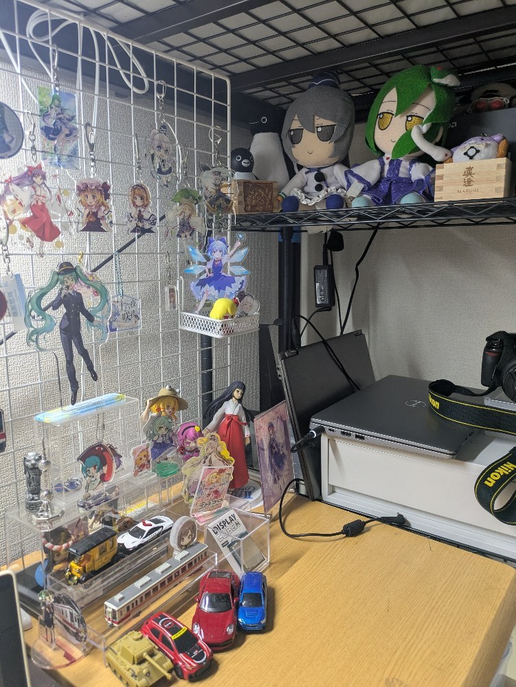 東方だったりひぐらしだったり鉄道だったり車だったりミクだったり地方ゆるキャラまでいろいろあります。