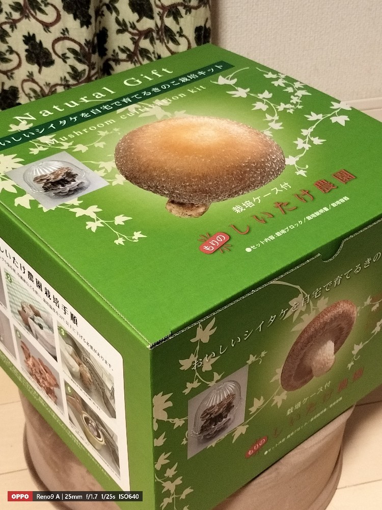 ブツ(箱)