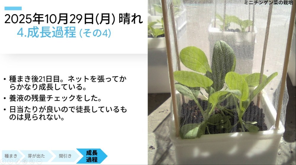 全部自力で作ってますｗ