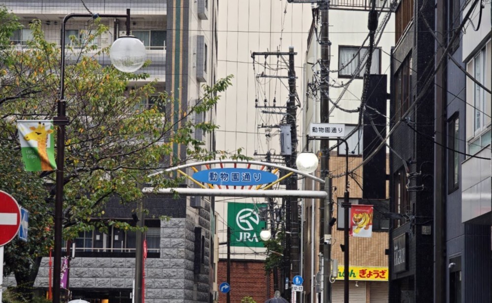 動物園通り