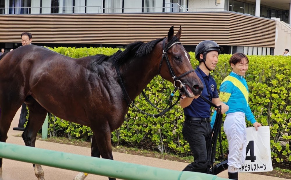 4R 2歳未勝利のキャピタルストーン号と大野拓弥騎手②