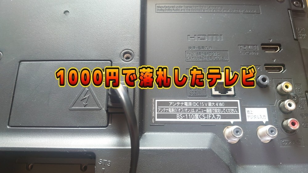 19インチです