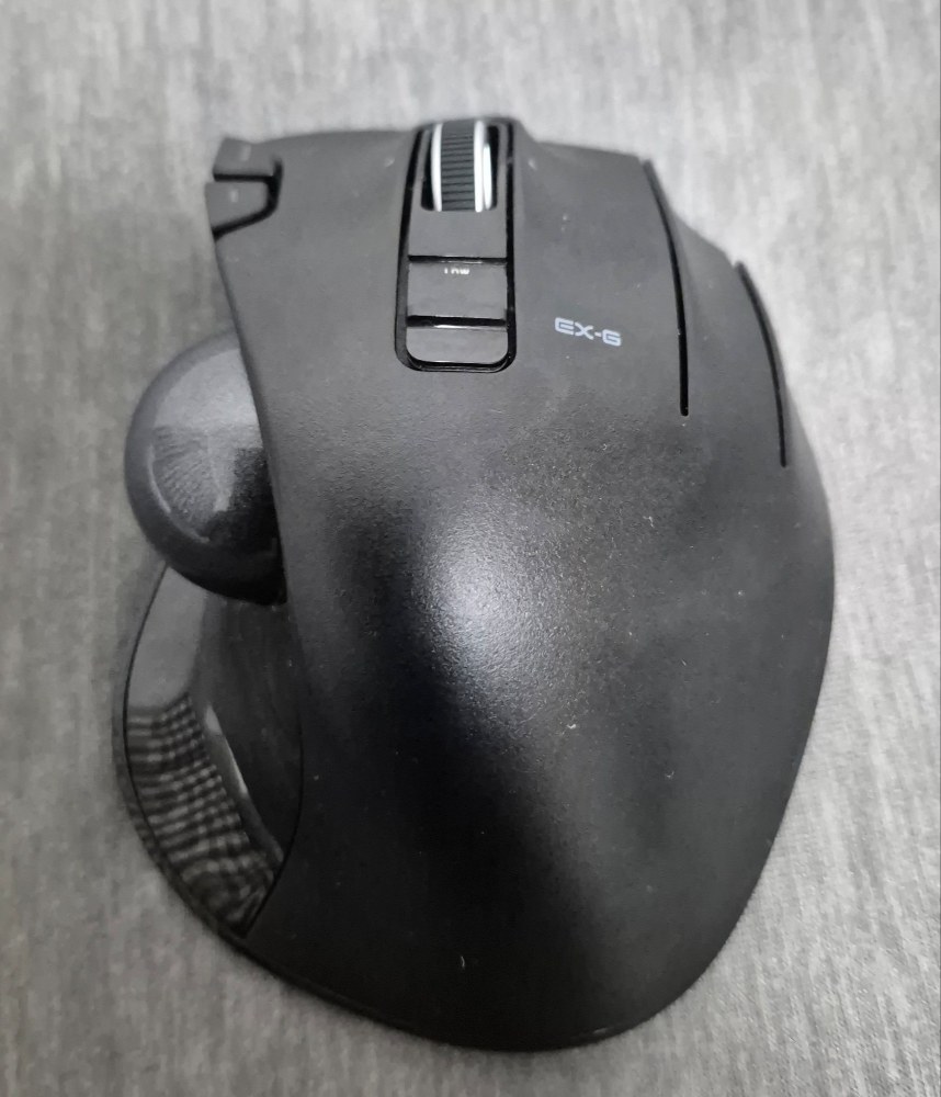 マウス