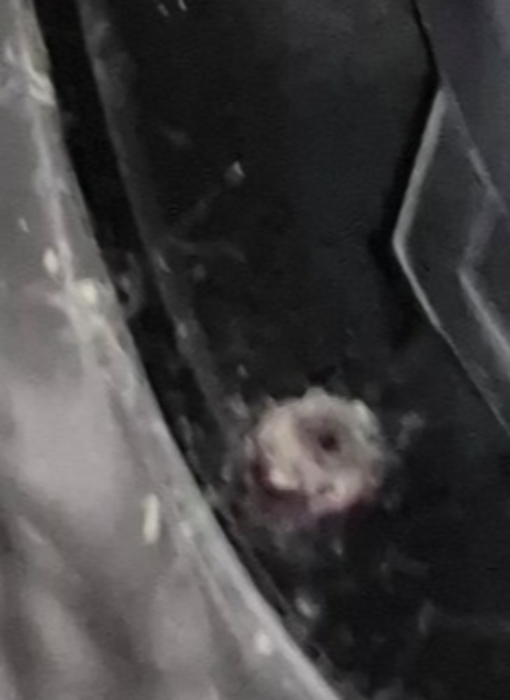 支え？にゴミが溜まる。