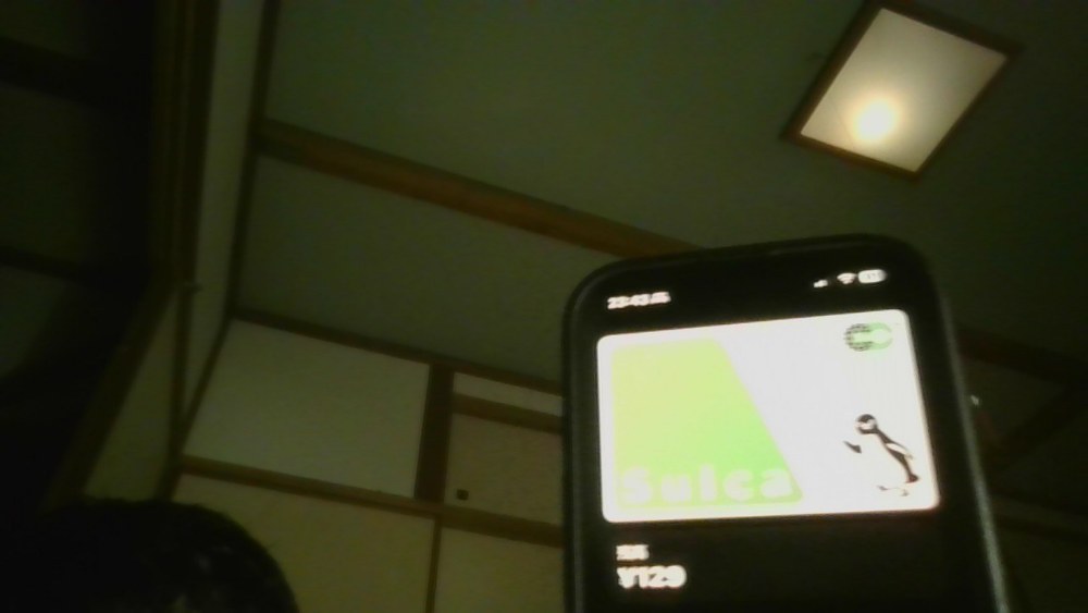 ウォレットが一番でかいんじゃない?なんというかgooglepayよりもapplepayのほうが普及してる気がする