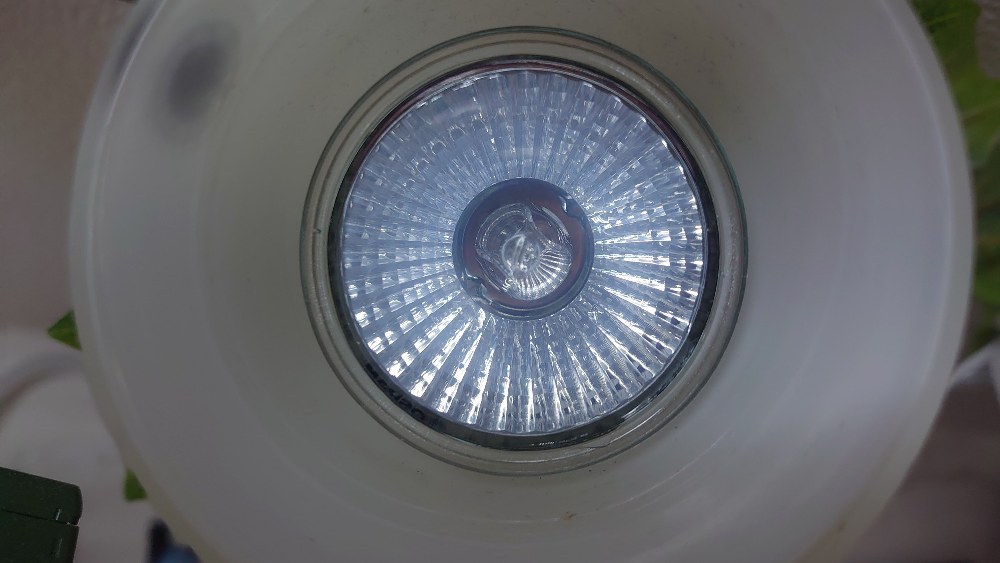 明かりが点かず、事切れてた電球を外す必要あり