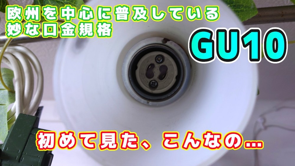 これまでの人生で見た事なかったわ