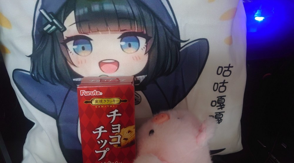 チョコチップをお供え