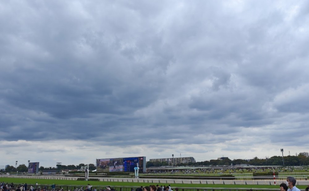コース側