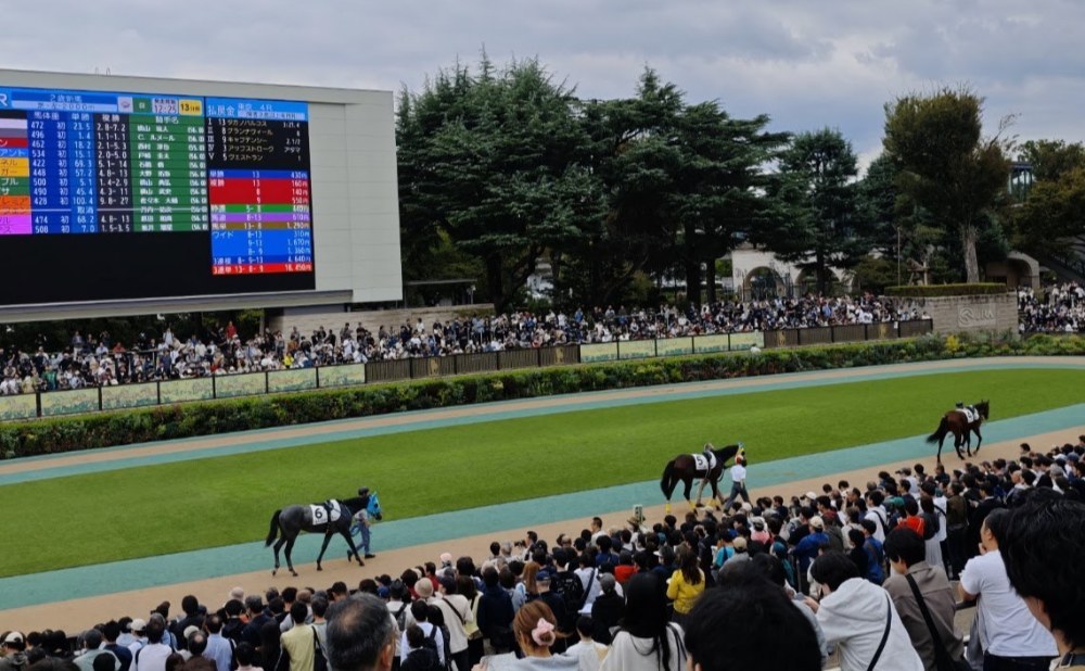5Rのパドック