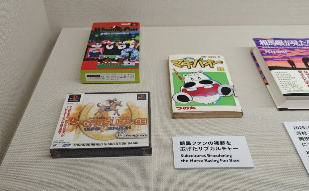 展示