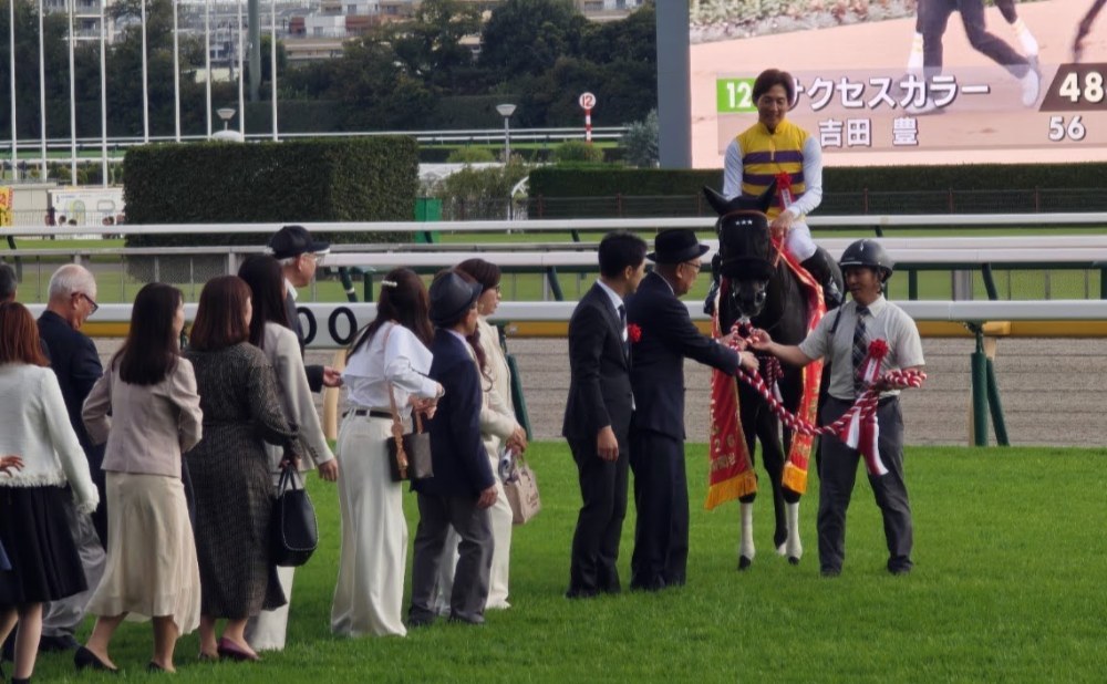 毎日王冠を勝ったセイウンハーデス号と幸英明騎手①