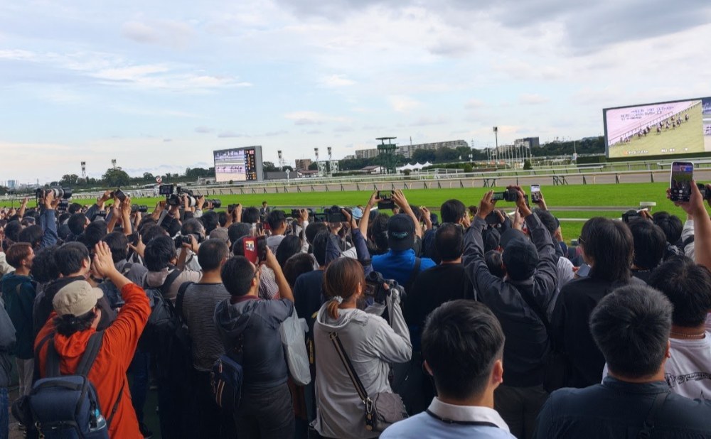 毎日王冠を勝ったセイウンハーデス号と幸英明騎手④