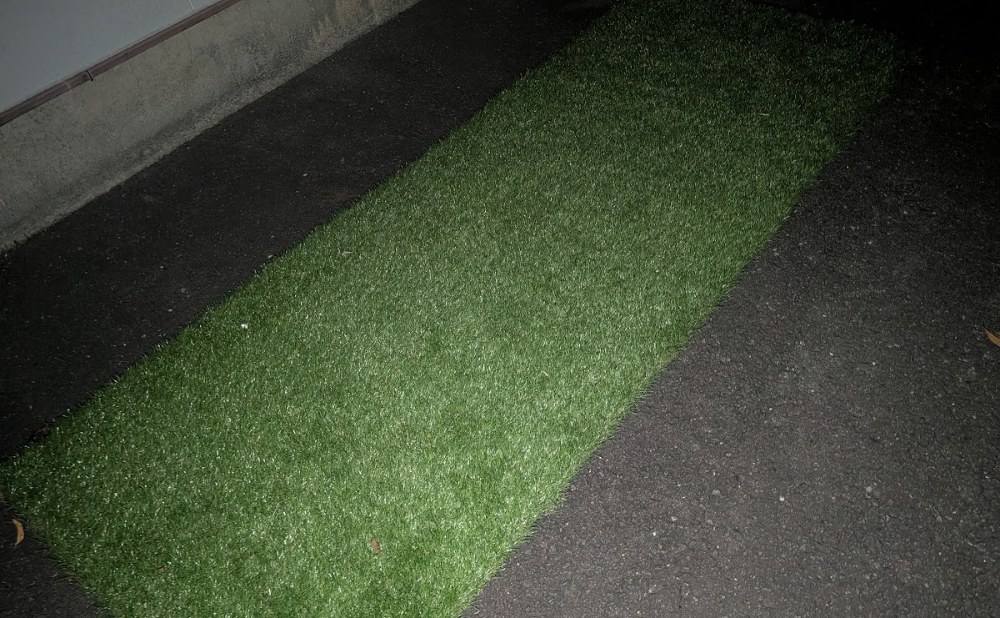 めっちゃ明るい照度