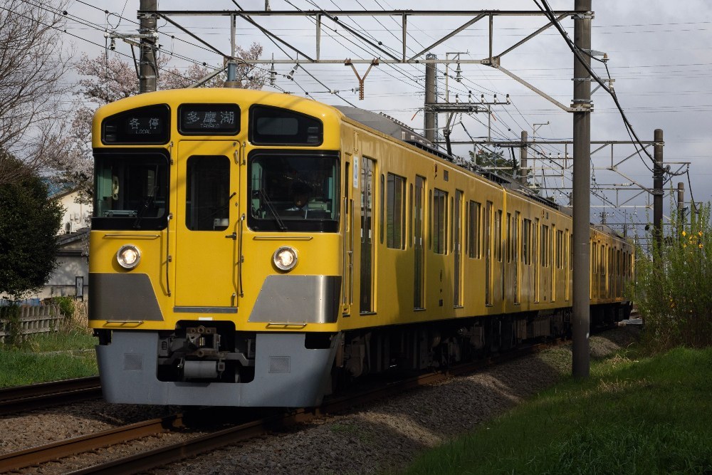 EOS R8+EF100-300 F4.5-5.6 USM
