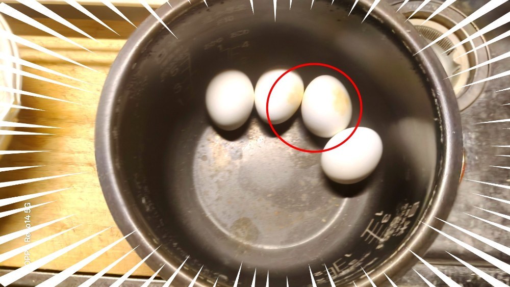 殻が一部、黄色に変色してる