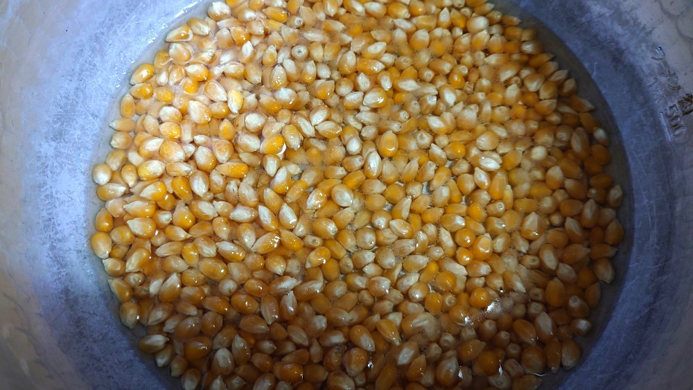 原料豆１５０ｇ