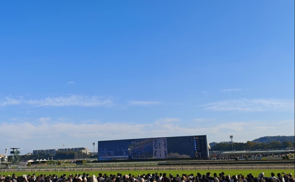 ここからやっと競馬w