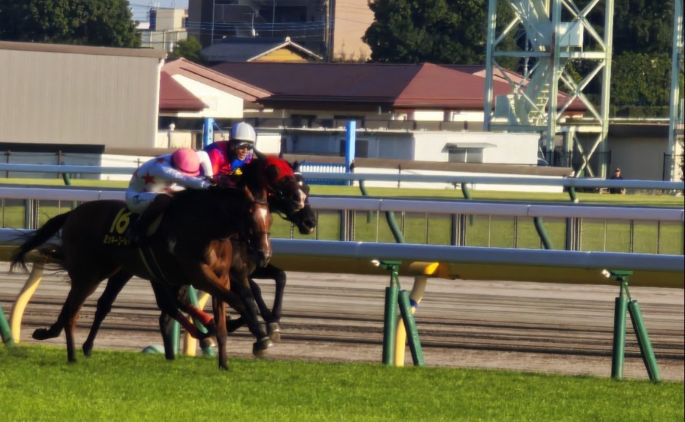 メインレースの直線