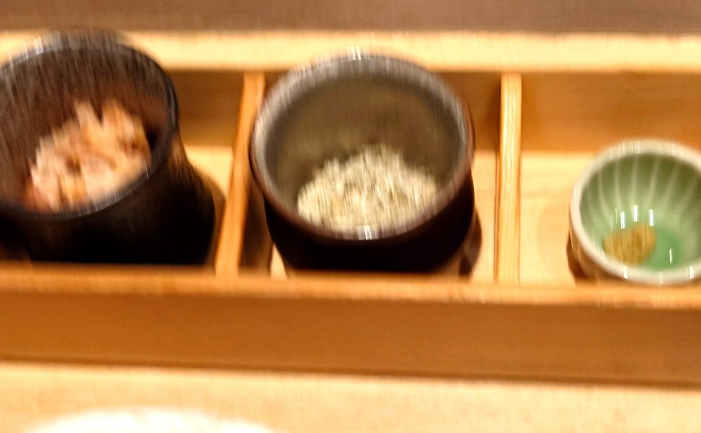 ブレてる?いや、残像だ!