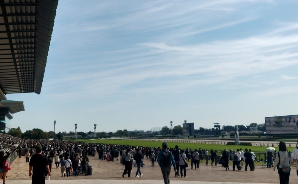 いつもの画角から入場