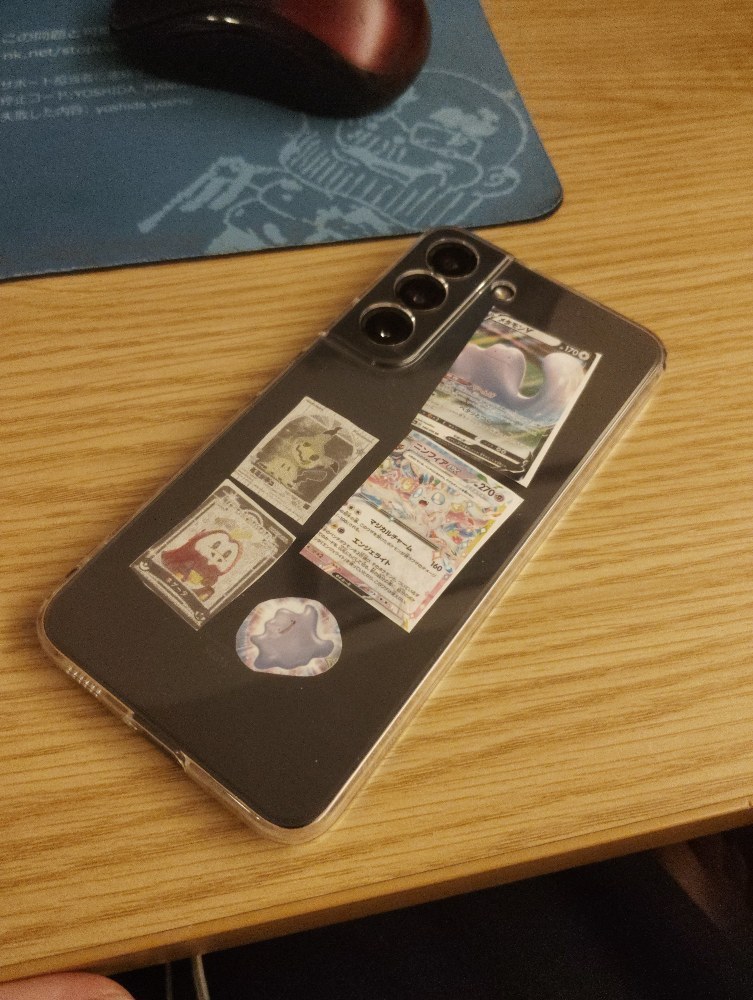 ポケモンをいつも入れてる