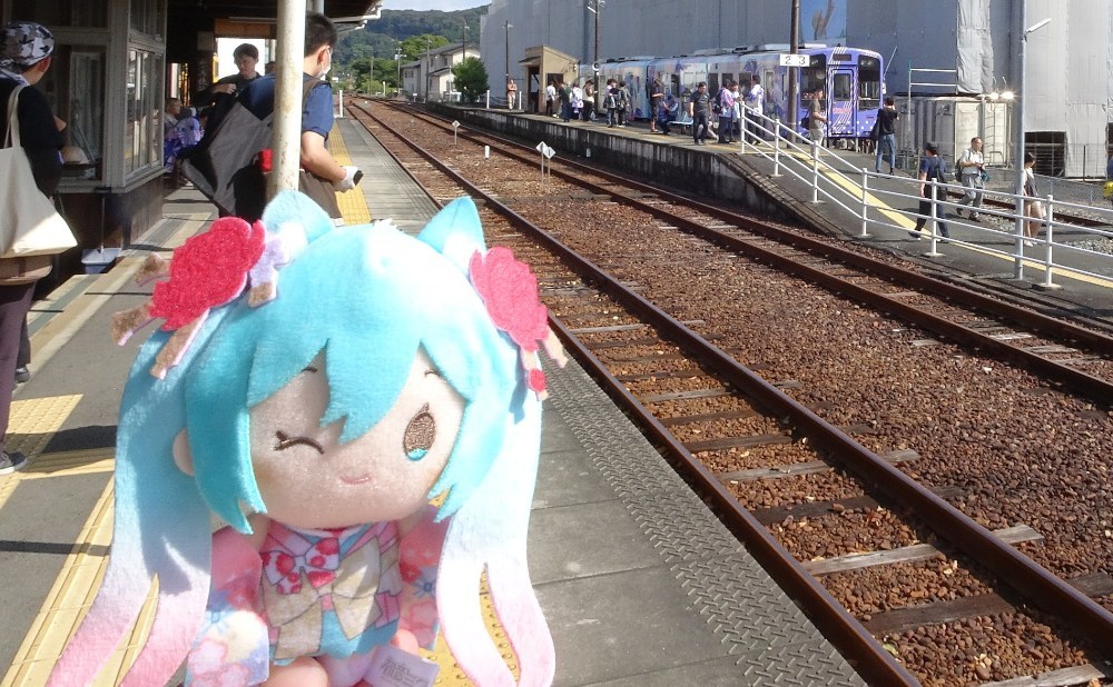 初めてお迎えした子